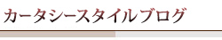 カータシースタイルブログ